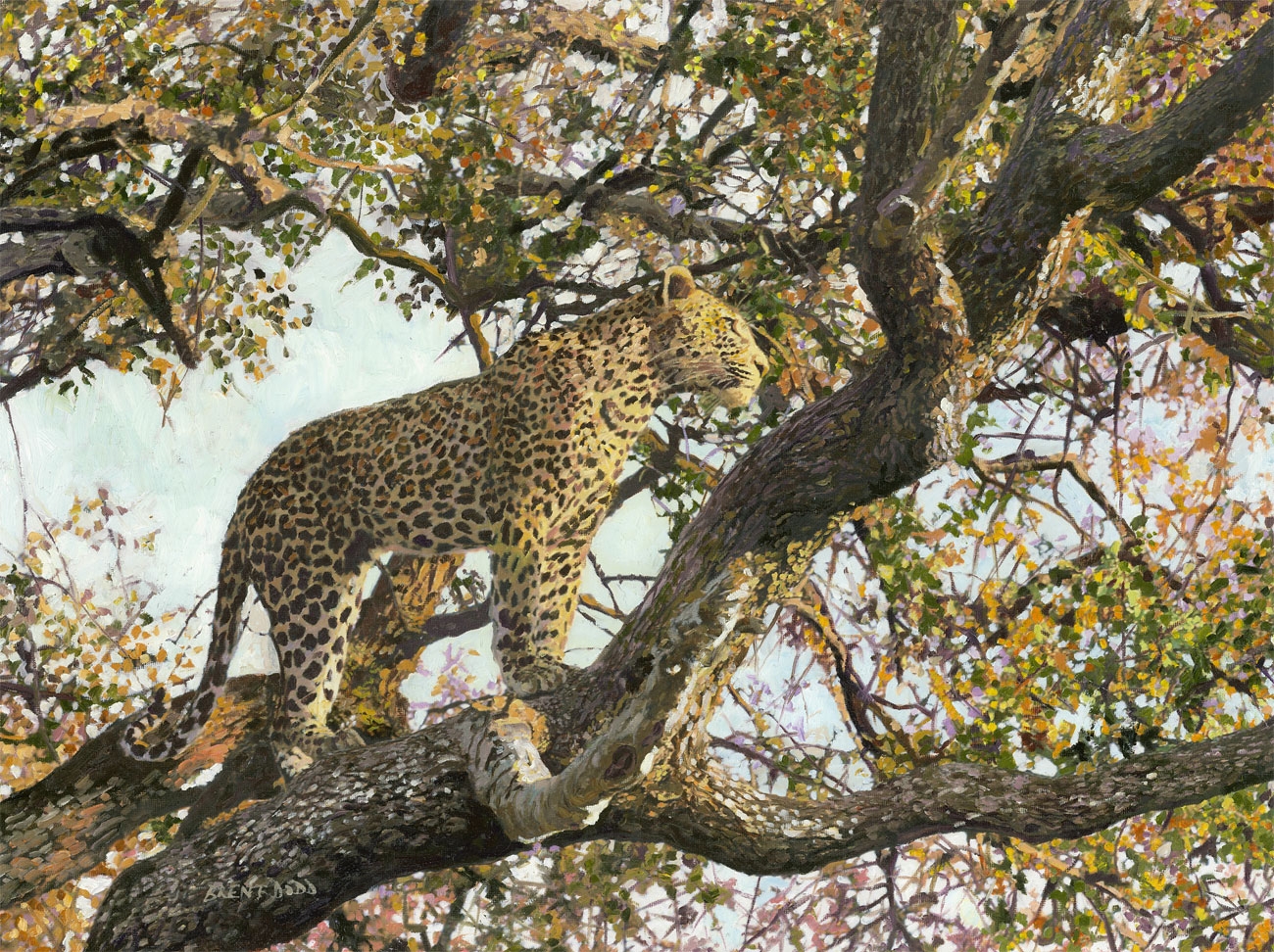 Artist Brent Dodd's work will bring a taste of Africa into your home