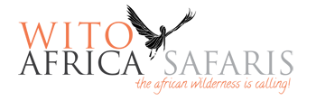 WITO-AFRICA-AFFILIATE-CODE-ONLY logo