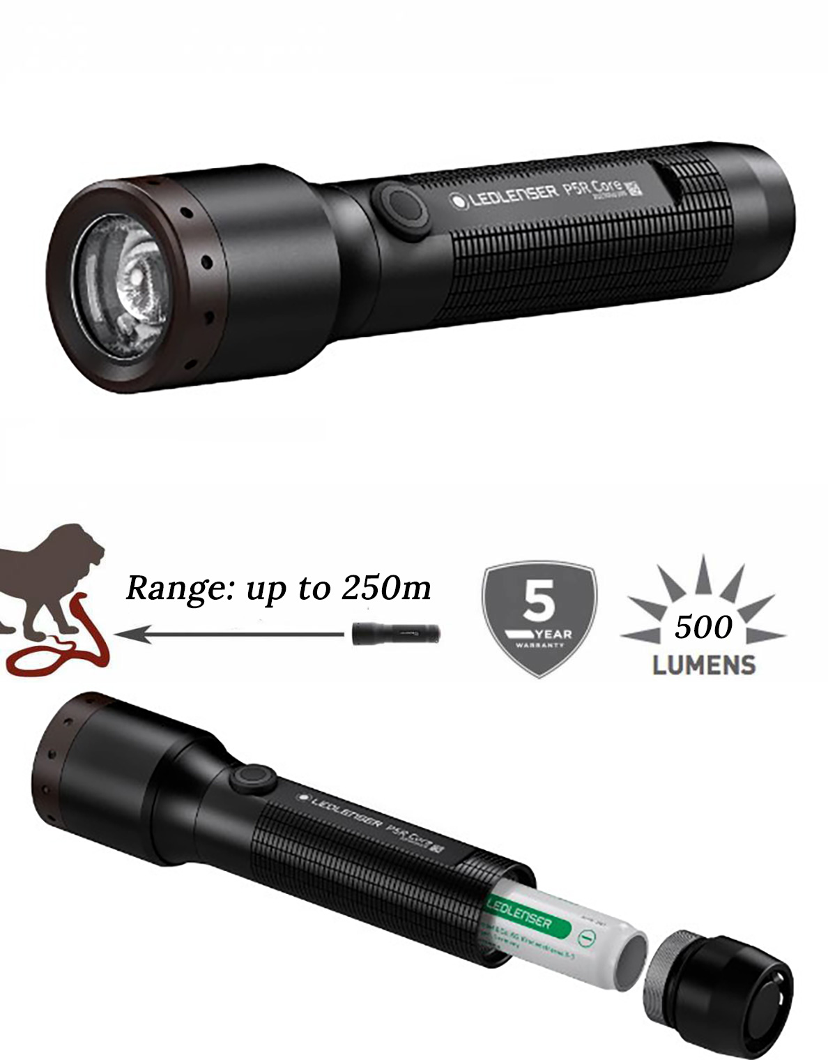 Ledlenser P5R Core Rechargeable Torch The Safari Store