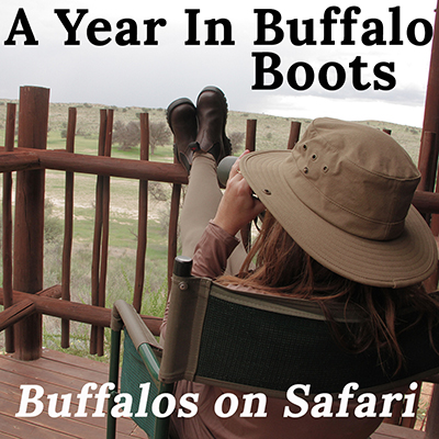 Buffalo Boots - Leather Chelsea Boots From The Safari Store