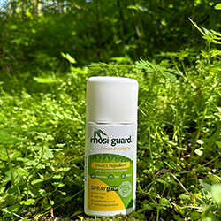 Best Insect for Katavi and Mahale Tanzania safari from The Safari Store