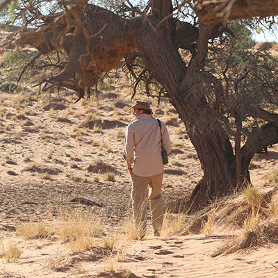 The New Men's Anti-Insect Cargo Trousers From The Safari Store