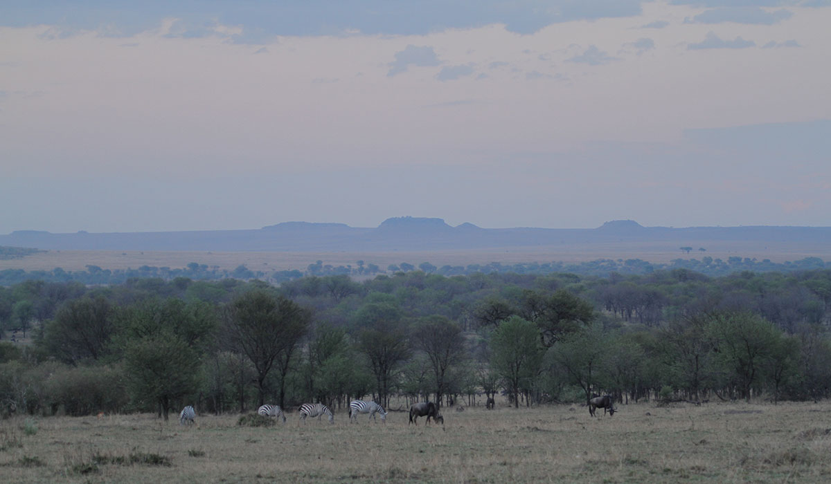 Northern Serengeti National Park by The Safari Store