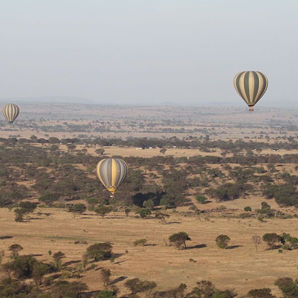 Balloon Safari in Northern Serengeti by The Safari Store