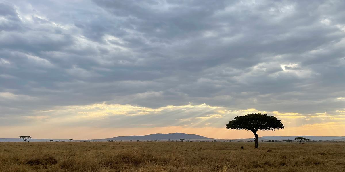 Serengeti National Park Safari Planning by The Safari Store