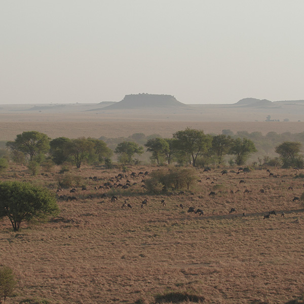 Serengeti National Park, Tanzania - by The Safari Store