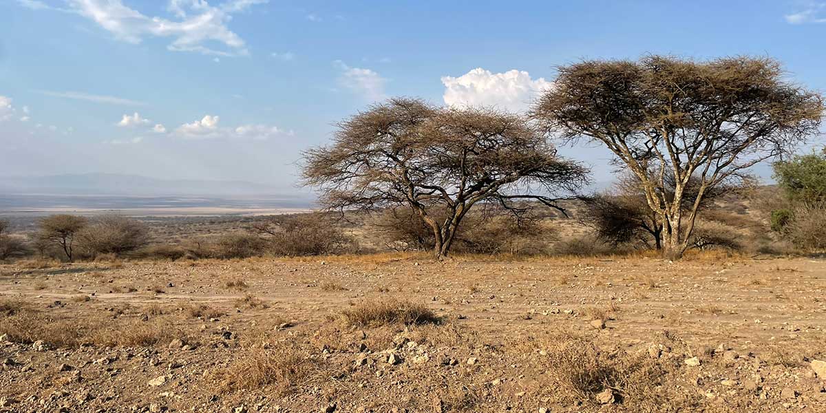 Southern Serengeti, Ndutu, Ngorongoro Conservation Area Safari Planning by The Safari Store