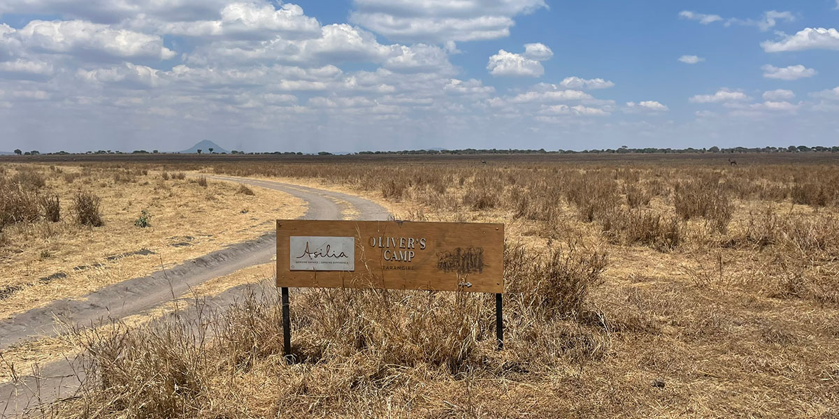 Tarangire Lodges - Oliver's Camp by Asilia - by The Safari Store