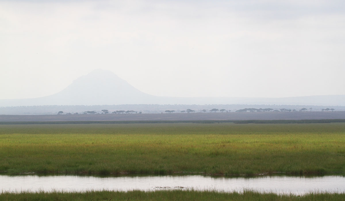 Tarangire National Park - by The Safari Store