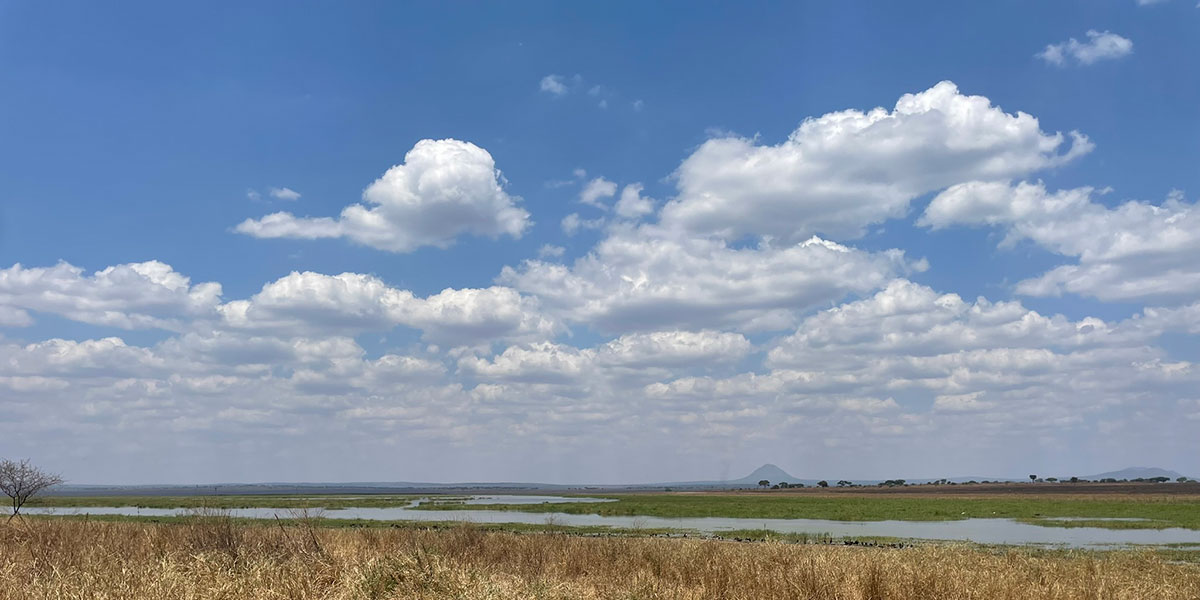 Tarangire Safari Destination Inspiration - by The Safari Store